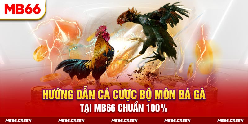 8kbet567 xổ số bình định