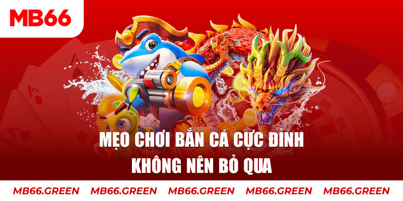 8kbet567 casino ở đâu