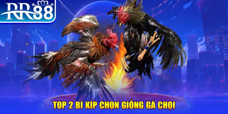 8kbet567 đăng nhập poker số 1