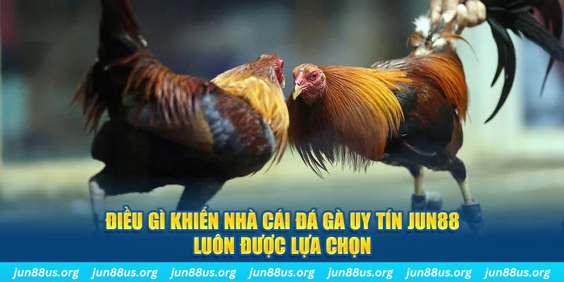 8kbet567 qq88 nổ hũ bắn cá
