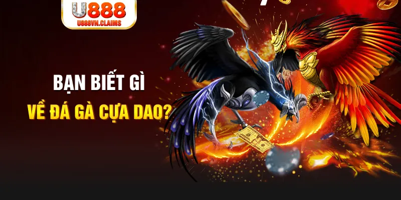 8kbet567 xổ số kiến thiết