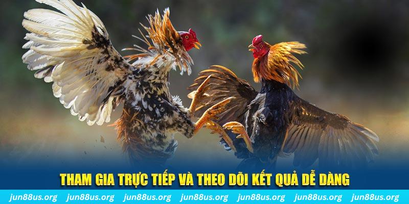 8kbet567 đá gà trực tiếp bình luận viên