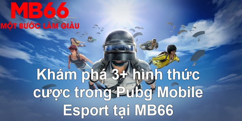 8kbet567 so xo