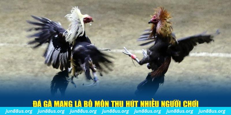 8kbet567 xổ số cà mau