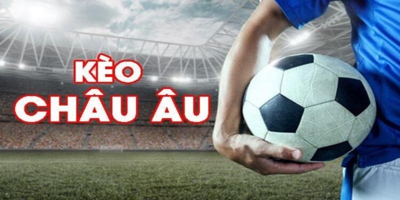 8kbet567 đá gà trực tiếp casino