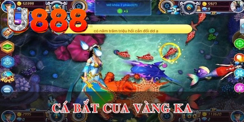 8kbet567 đăng nhập phỏm uy tín