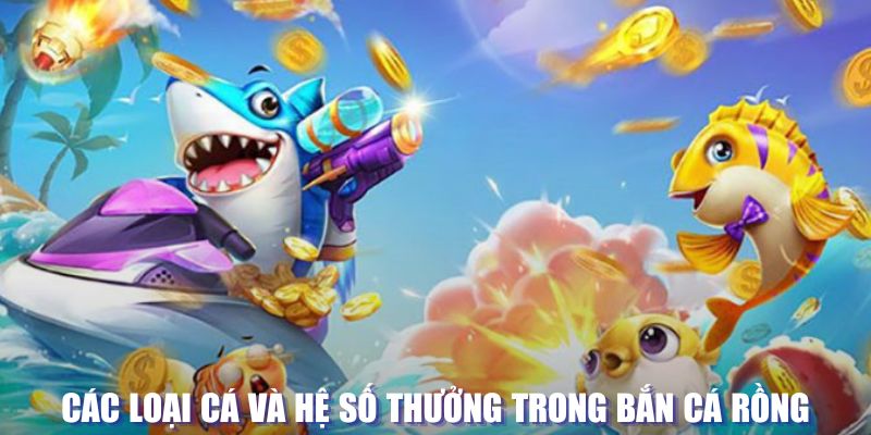 8kbet567 loi game dot kich ket noi may chu that bai