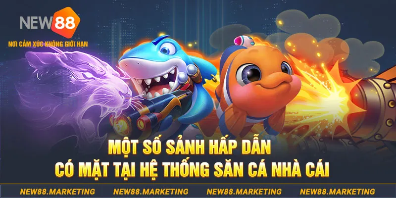 8kbet567 đăng nhập sòng bạc 2025