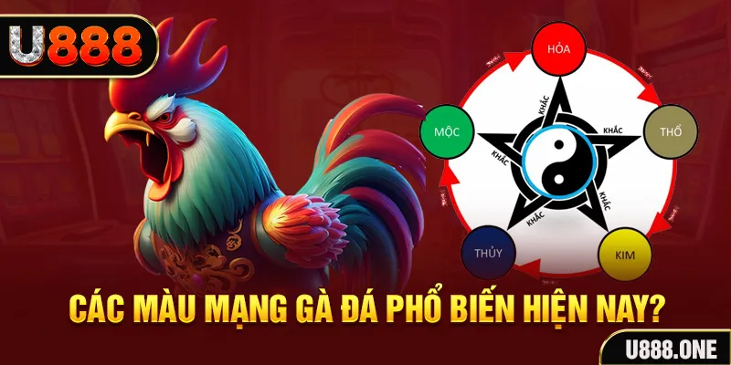 8kbet567 đăng nhập mậu binh