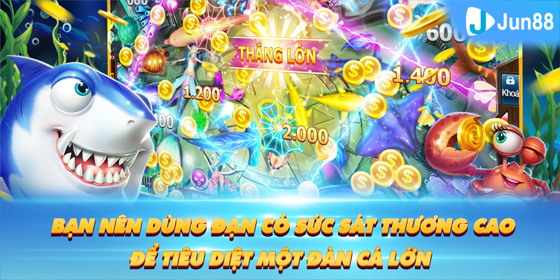 8kbet567 Tung Đồng Xu
