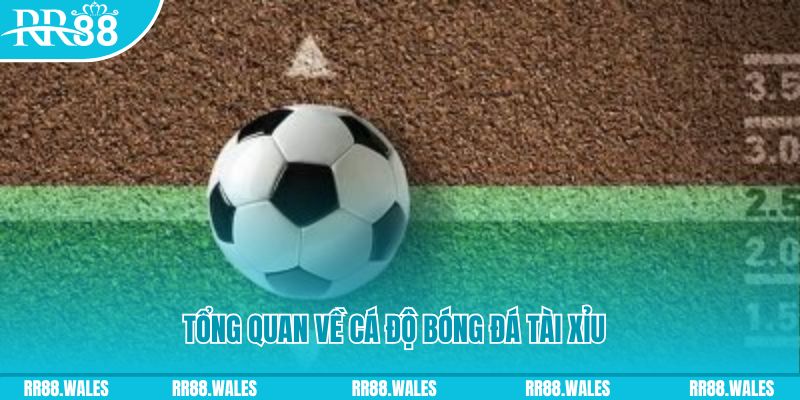 8kbet567 đăng nhập lô đề online