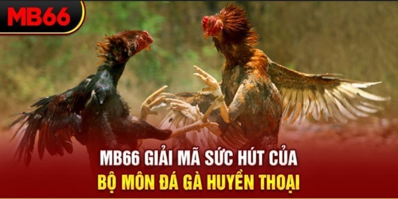 8kbet567 Phi Đội Ưu Tú