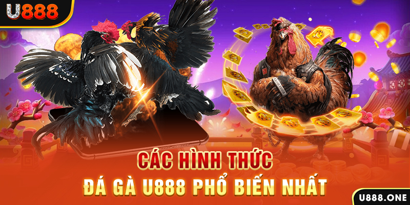 8kbet567 DB Trực Tuyến