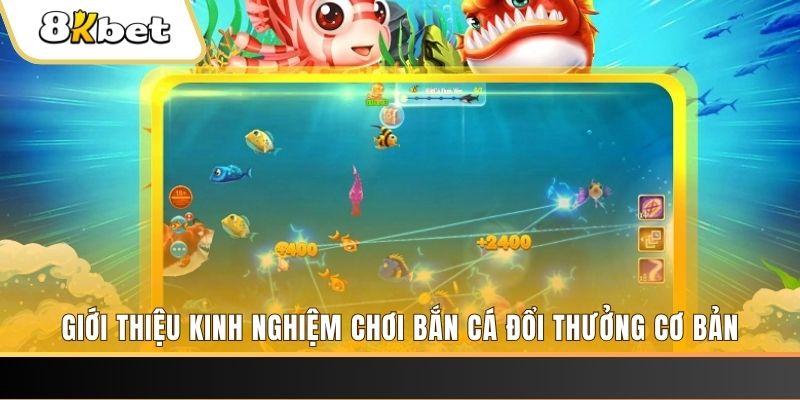 8kbet567 xổ số miền bắc thứ năm hàng tuần