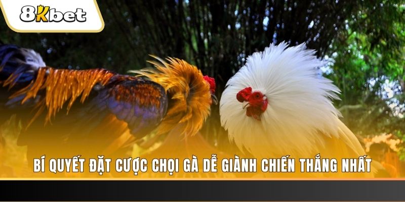 8kbet567 Tài Xỉu 2
