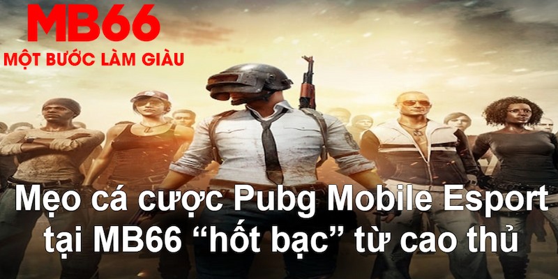 8kbet567 gà chọi mộc hóa