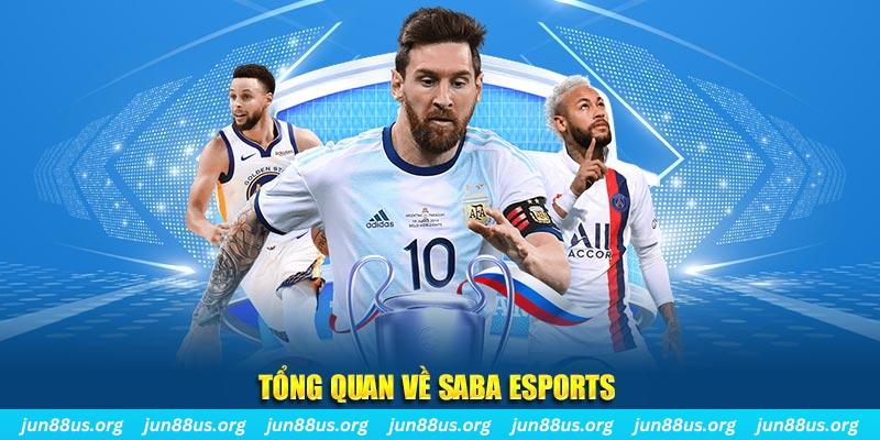 8kbet567 gà chọi c1 tv trực tiếp hôm nay