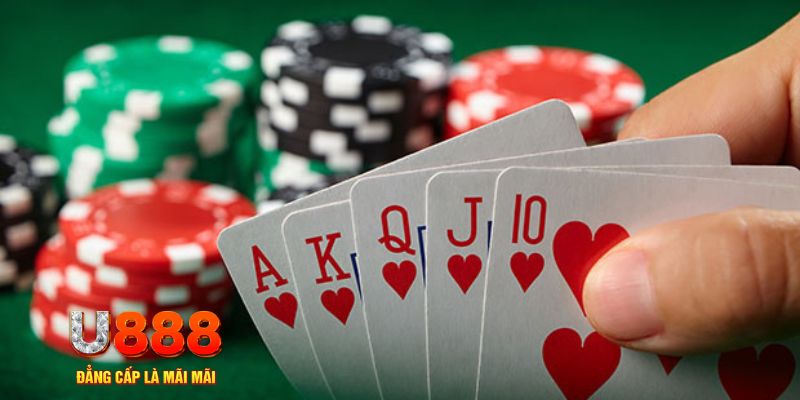 8kbet567 trực tiếp đá gà
